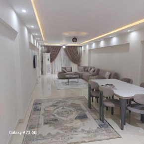 Luxury apartment at giza